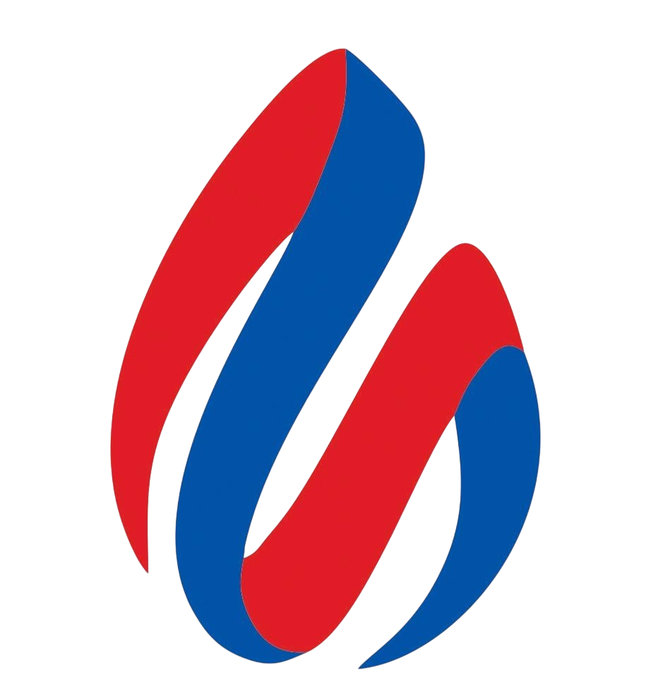 Logo Lubricantes Geminis